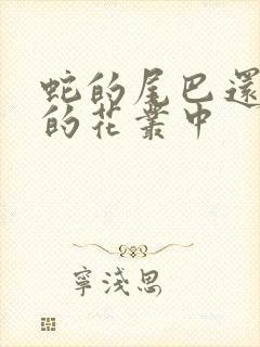 蛇的尾巴还在我的花丛中