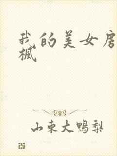我的美女房东凌枫