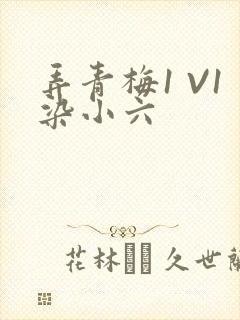 弄青梅1 V1染小六