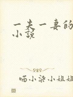 一夫一妻的玄幻小说