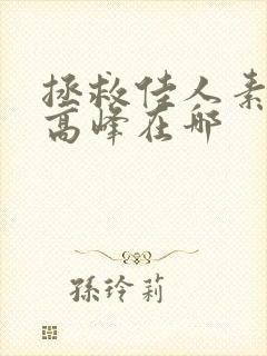 拯救佳人素柔 高峰在哪