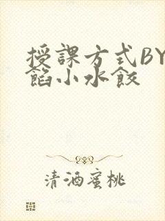 授课方式BY肉馅小水饺