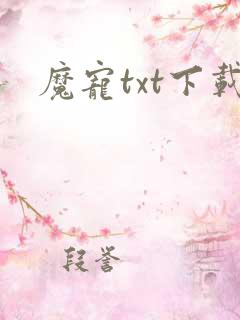 魔宠txt下载