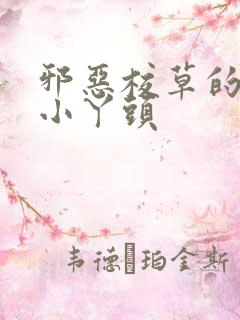 邪恶校草的拽拽小丫头