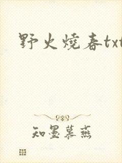 野火烧春txt