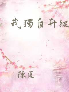 我独自升级小说