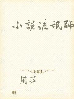 小说流氓师表