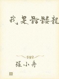 我是骷髅龙骑兵