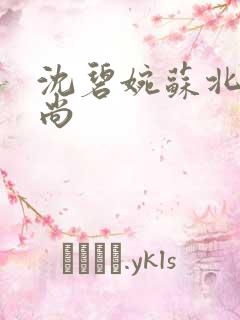 沈碧婉苏北宸和尚