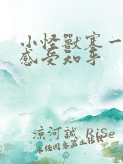 小怪兽塞一天的感受知乎