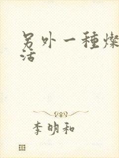 另外一种灿烂生活