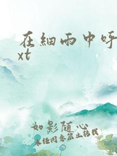 在细雨中呼喊txt