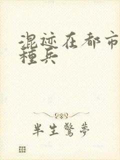 混迹在都市的特种兵