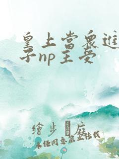 皇上当众进入太子np主受