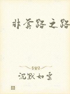 非套路之路