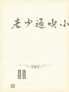 老少通吃小说