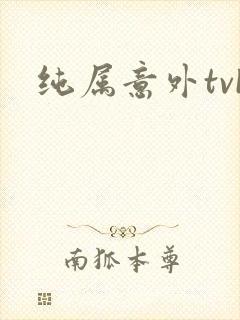 纯属意外tvb