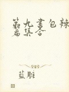 第九书包辣肉短篇集合