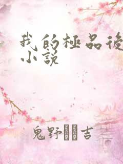我的极品后宫 小说
