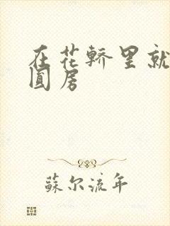 在花轿里就开始圆房