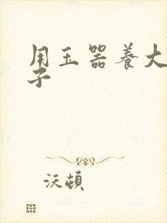 用玉器养大的皇子