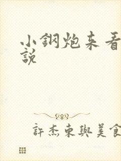 小钢炮来看我小说