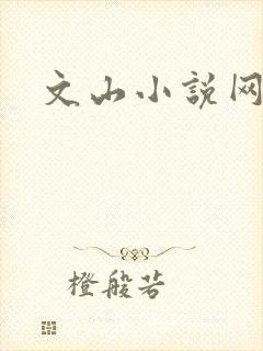 文山小说网