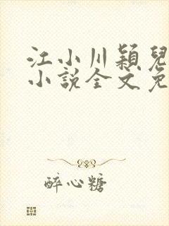 江小川颖儿穿越小说全文免费阅读