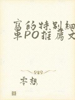 写的特别细的开车PO推荐文多人