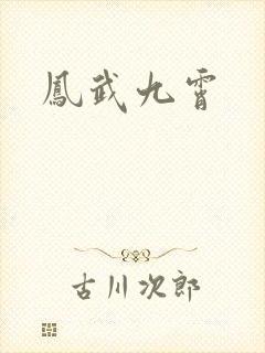 凤武九霄