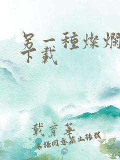 另一种灿烂生活下载