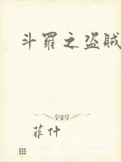 斗罗之盗贼
