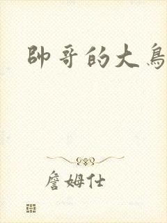 帅哥的大鸟