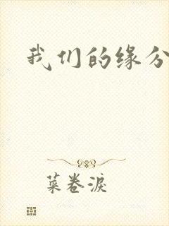 我们的缘分小说