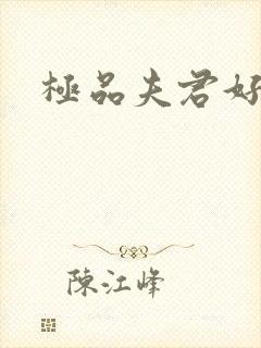 极品夫君好又多