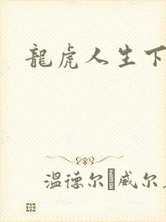 龙虎人生下载