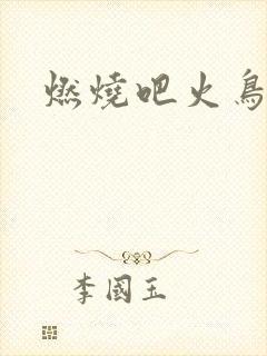 燃烧吧火鸟小说