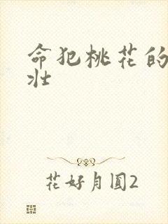 命犯桃花的李大壮