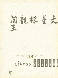 用龙根养大的公主