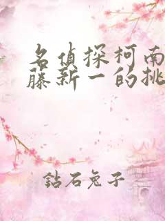 名侦探柯南给工藤新一的挑战书