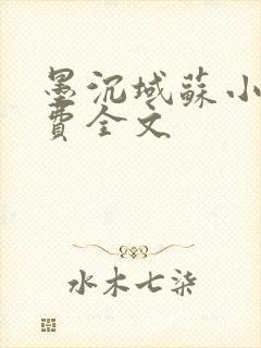 墨沉域苏小柠免费全文