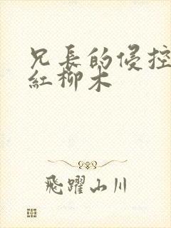兄长的侵控by红柳木