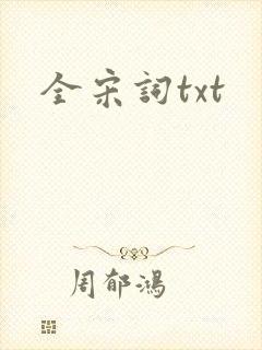 全宋词txt