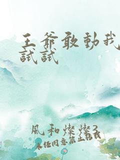 王爷敢动我妈咪试试