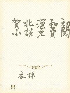 贺北溟和初夏的小说免费阅读无弹窗