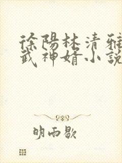徐阳林清雅绝世武神婿小说