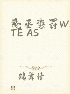 飞丞惩罚WRITE AS