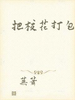 把校花打包带走