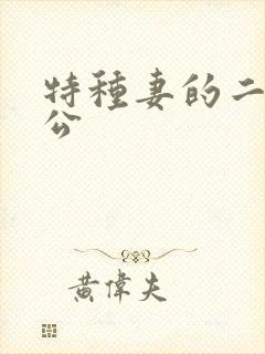 特种妻的二手老公