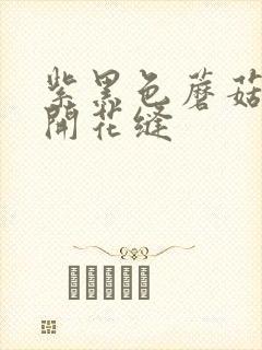 紫黑色蘑菇头顶开花缝